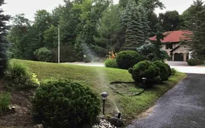 A lush green lawn after a Clearwater irrigation system